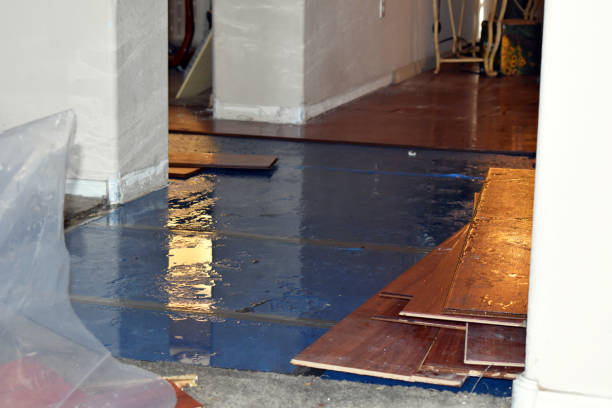 Professional Flood Damage Repair technician working in Waverly, NY